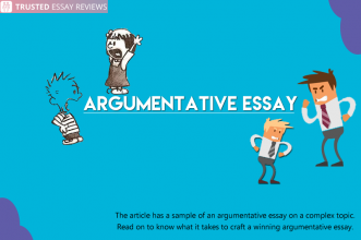 Argumentative Essay on Fake Essay Writing Services
